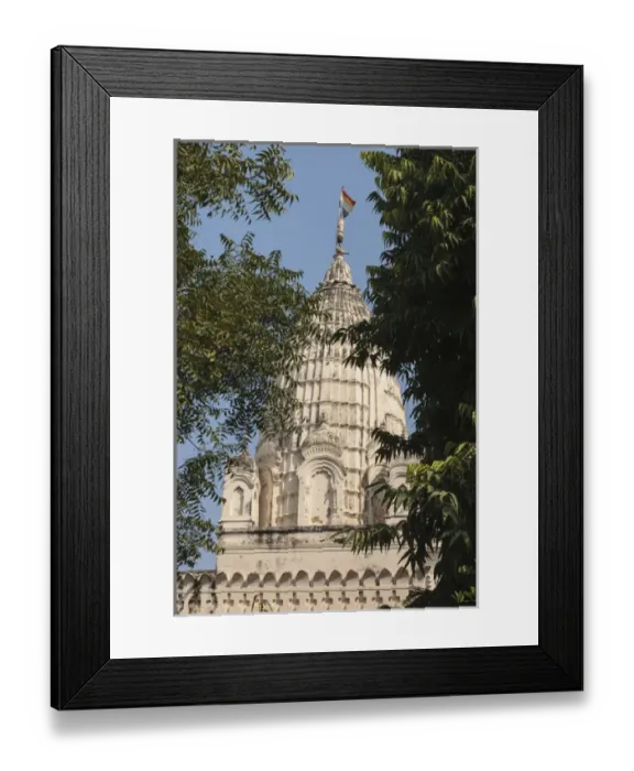 Framed Print : India, Madhya Pradesh, Chhatarpur District, View of Khajuraho Temple through trees