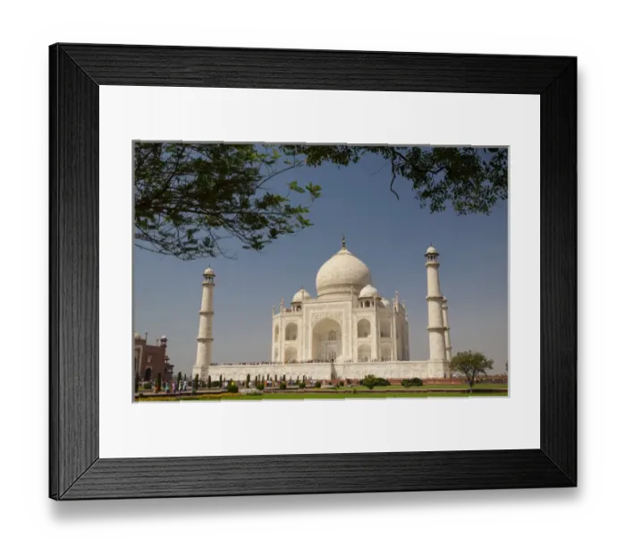 Framed Print : Asia, India. Taj Mahal with trees above as framing element Framed Print : Asia, India. Taj Mahal with trees above as framing element