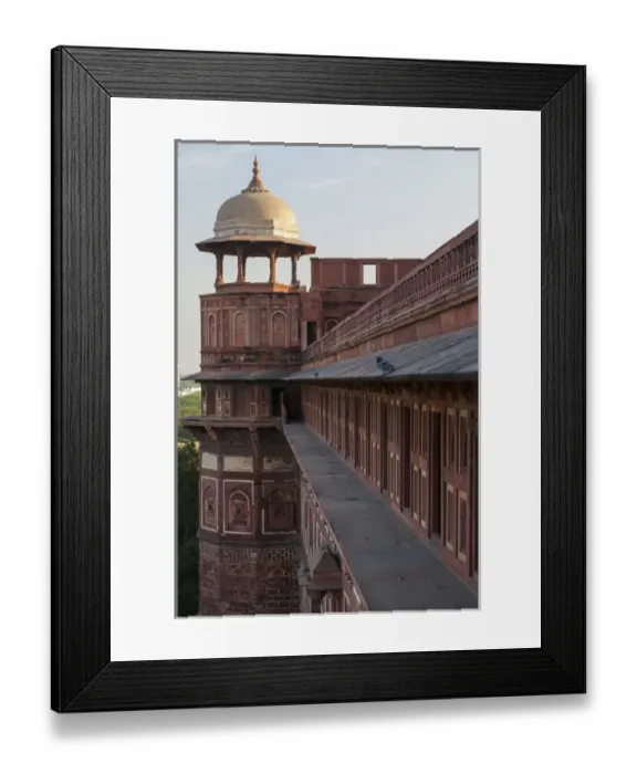 Framed Print : Asia, India. Agra fort. Two pigeons sit on the roofs ledge
