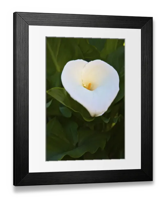 Framed Print : UNESCO, India, Tamil Nadu, Nilgiri Mountains Framed Print : UNESCO, India, Tamil Nadu, Nilgiri Mountains