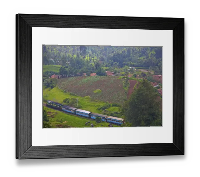 Framed Print : UNESCO, India, Tamil Nadu, Nilgiri Mountains Framed Print : UNESCO, India, Tamil Nadu, Nilgiri Mountains