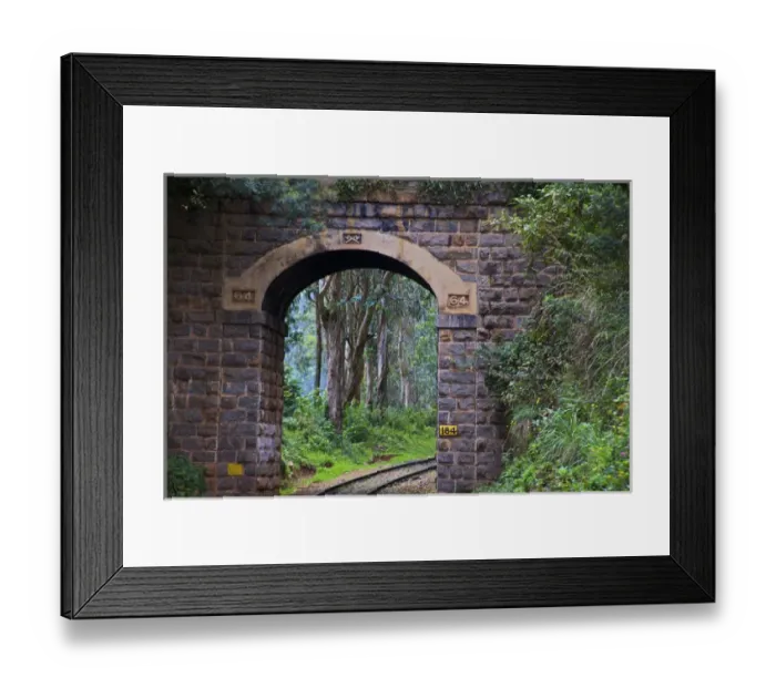 Framed Print : UNESCO, India, Tamil Nadu, Nilgiri Mountains, Heritage Steam Train, Udagamandalam Framed Print : UNESCO, India, Tamil Nadu, Nilgiri Mountains, Heritage Steam Train, Udagamandalam