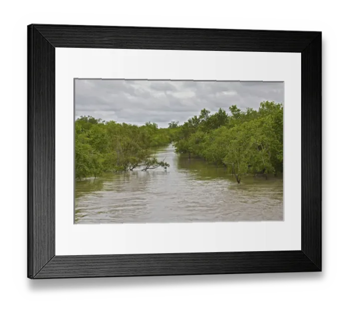 Framed Print : UNESCO, India, West Bengal, Sunderbans National Park World Heritage site and Biosphere Reserve
