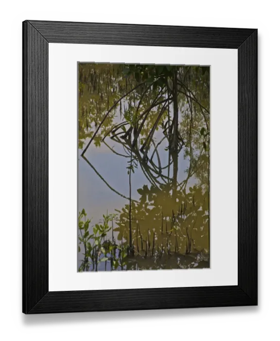 Framed Print : UNESCO, India, West Bengal, Sunderbans National Park World Heritage site and Biosphere Reserve Framed Print : UNESCO, India, West Bengal, Sunderbans National Park World Heritage site and Biosphere Reserve