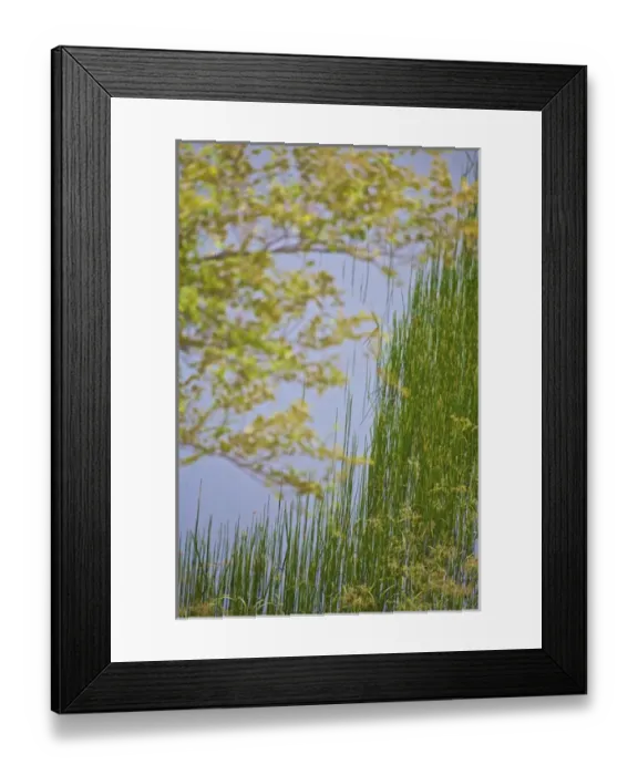 Framed Print : UNESCO, India, West Bengal, Sunderbans National Park World Heritage site and Biosphere Reserve Framed Print : UNESCO, India, West Bengal, Sunderbans National Park World Heritage site and Biosphere Reserve