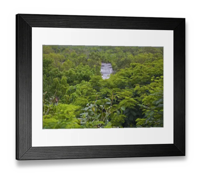 Framed Print : UNESCO, India, West Bengal, Sunderbans National Park World Heritage site, and Biosphere Reserve Framed Print : UNESCO, India, West Bengal, Sunderbans National Park World Heritage site, and Biosphere Reserve