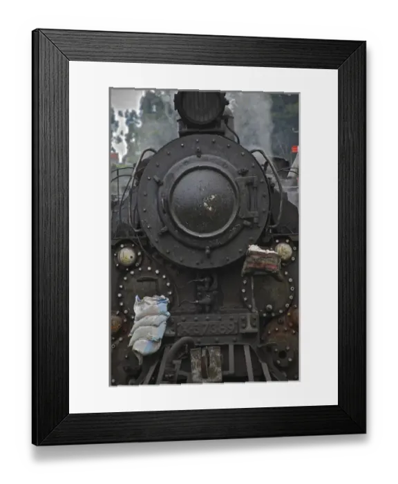 Framed Print : UNESCO, India, Tamil Nadu, Nilgiri Mountains, Heritage Steam Train, Udagamandalam Framed Print : UNESCO, India, Tamil Nadu, Nilgiri Mountains, Heritage Steam Train, Udagamandalam