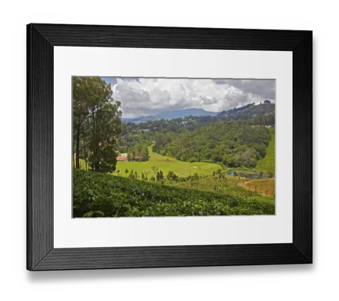 Framed Print : UNESCO, India, Tamil Nadu, Nilgiri Mountains, Heritage Steam Train, Udagamandalam Framed Print : UNESCO, India, Tamil Nadu, Nilgiri Mountains, Heritage Steam Train, Udagamandalam