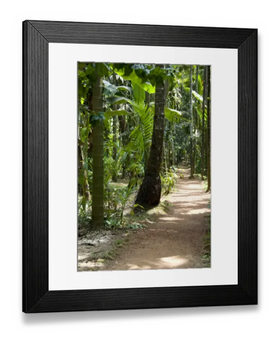 Framed Print : India, Goa, Ponda, Curti. Sahakari Spice Farm. Plantation grounds Framed Print : India, Goa, Ponda, Curti. Sahakari Spice Farm. Plantation grounds