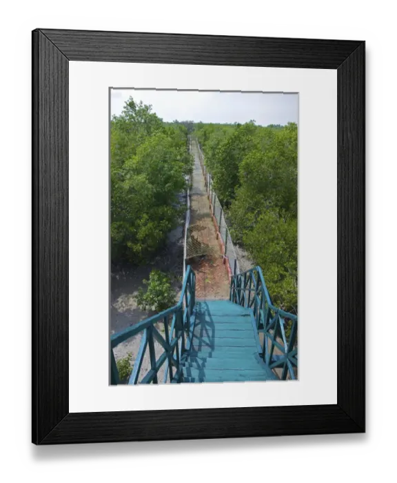 Framed Print : UNESCO, India, West Bengal, Sunderbans National Park World Heritage site and Biosphere Reserve Framed Print : UNESCO, India, West Bengal, Sunderbans National Park World Heritage site and Biosphere Reserve