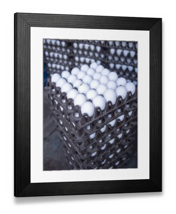 Framed Print : Eggs get stacked in crates in Bangalore, Karnataka, India Framed Print : Eggs get stacked in crates in Bangalore, Karnataka, India