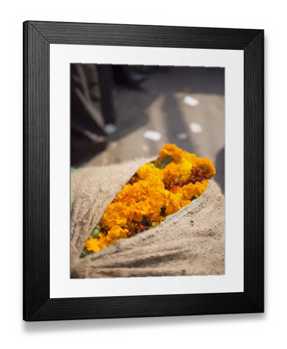 Framed Print : Fresh marigold flowers sack for sale in New Delhi, India Framed Print : Fresh marigold flowers sack for sale in New Delhi, India
