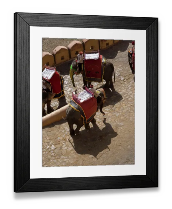 Framed Print : Mahout with tourist riding on elephant in Jaipur, Rajasthan, India