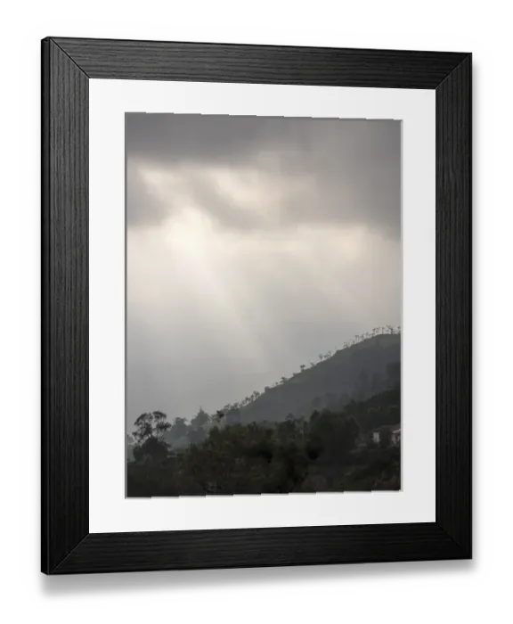 Framed Print : Silhouette of trees on hilltop, Conoor, Tamil Nadu, India