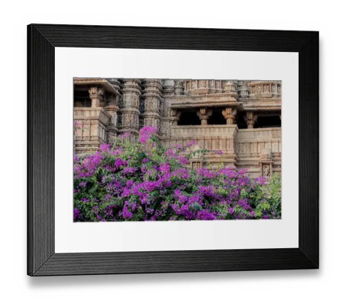 Framed Print : India, Khajuraho, Madhya Pradesh State Temple of Kandariya with bushes of bougainvillea Framed Print : India, Khajuraho, Madhya Pradesh State Temple of Kandariya with bushes of bougainvillea