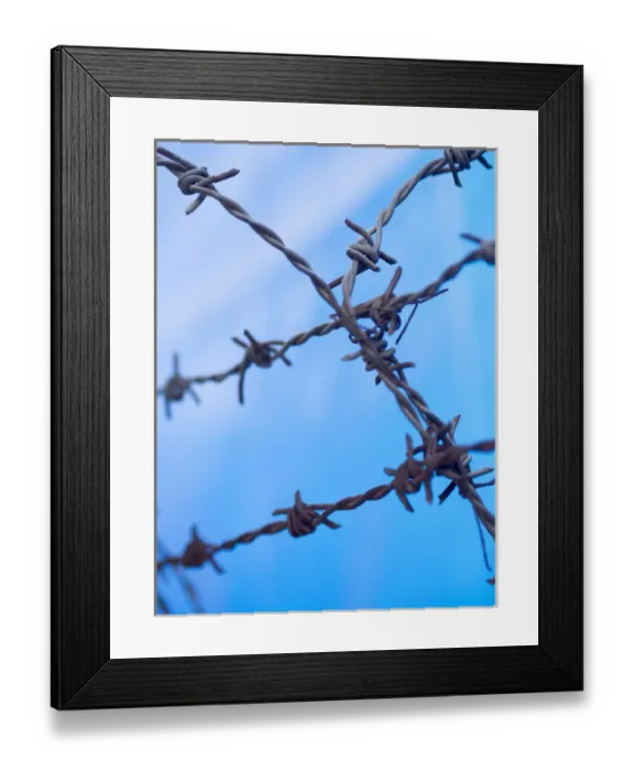 Framed Print : Barbed wire sticks out against the blue sky in Bangalore, Karnataka, India Framed Print : Barbed wire sticks out against the blue sky in Bangalore, Karnataka, India