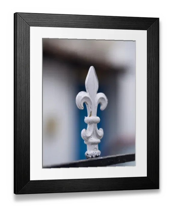 Framed Print : A white metal spike sticks up from a gate in Bangalore, Karnataka, India Framed Print : A white metal spike sticks up from a gate in Bangalore, Karnataka, India