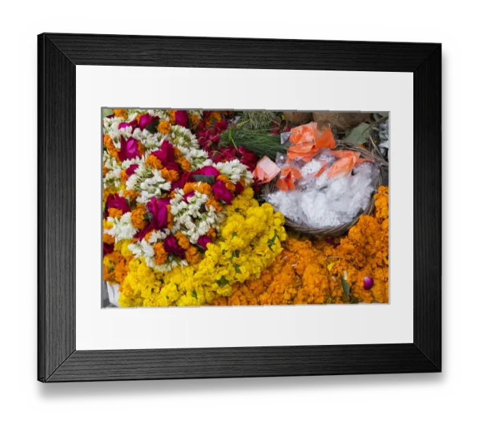 Framed Print : India, Uttar Pradesh, Varanasi. varieties of marigold flowers, plumeria and lotus blossoms Framed Print : India, Uttar Pradesh, Varanasi. varieties of marigold flowers, plumeria and lotus blossoms