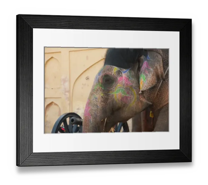 Framed Print : Decorated elephant at the Amber Fort, Jaipur, Rajasthan, India
