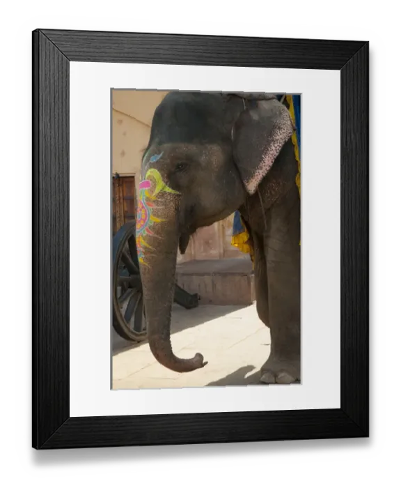 Framed Print : Decorated elephant, Amber Fort, Jaipur, Rajasthan, India Framed Print : Decorated elephant, Amber Fort, Jaipur, Rajasthan, India