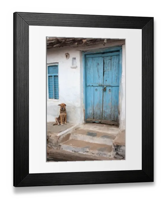 Framed Print : Dog resting outside a house Jojawar, Rajasthan, India Framed Print : Dog resting outside a house Jojawar, Rajasthan, India