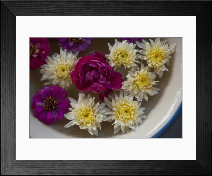 Framed Print : Flowers in a bowl of water, Rawal Jojawar Hotel, Jojawar, Rajasthan, India
