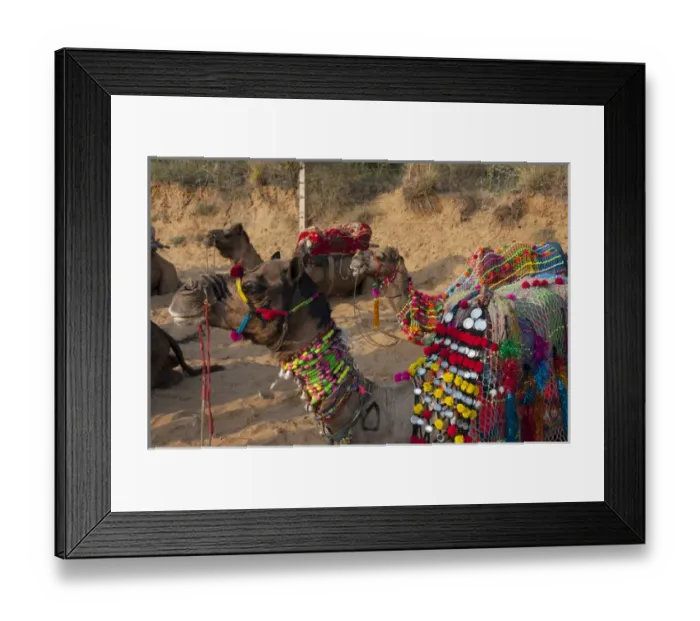 Framed Print : Pushkar, Rajasthan, India