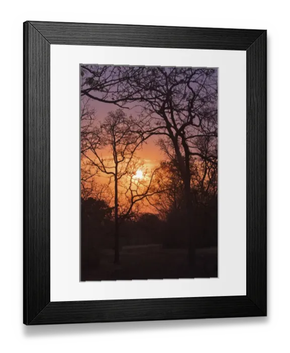 Framed Print : Tadoba Andheri Tiger Reserve, India Framed Print : Tadoba Andheri Tiger Reserve, India