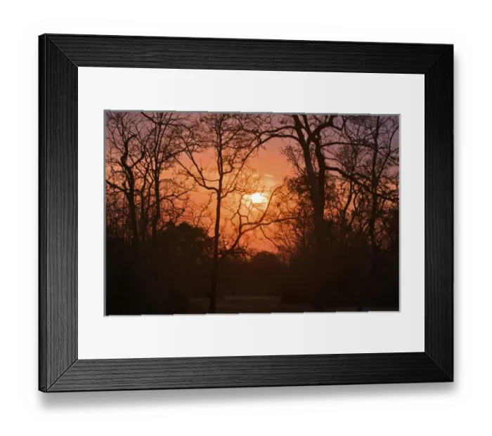 Framed Print : Tadoba Andheri Tiger Reserve, India Framed Print : Tadoba Andheri Tiger Reserve, India