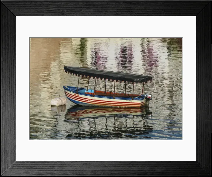 Framed Print : Udaipur, Rajasthan, India