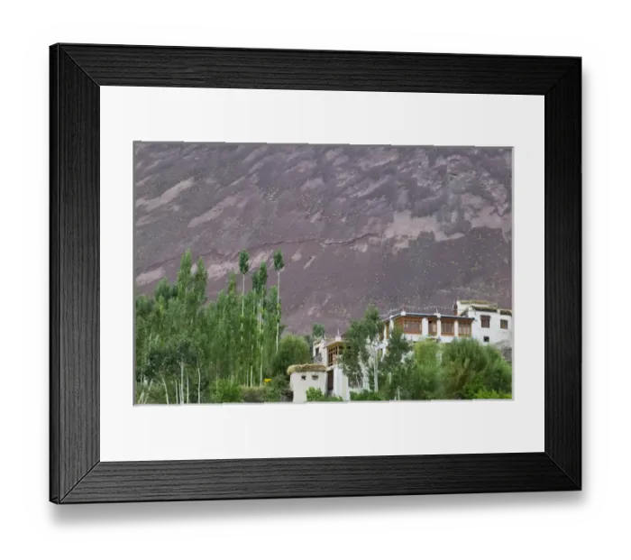 Framed Print : Village in the Himalayas, Alchi, Ladakh, India Framed Print : Village in the Himalayas, Alchi, Ladakh, India