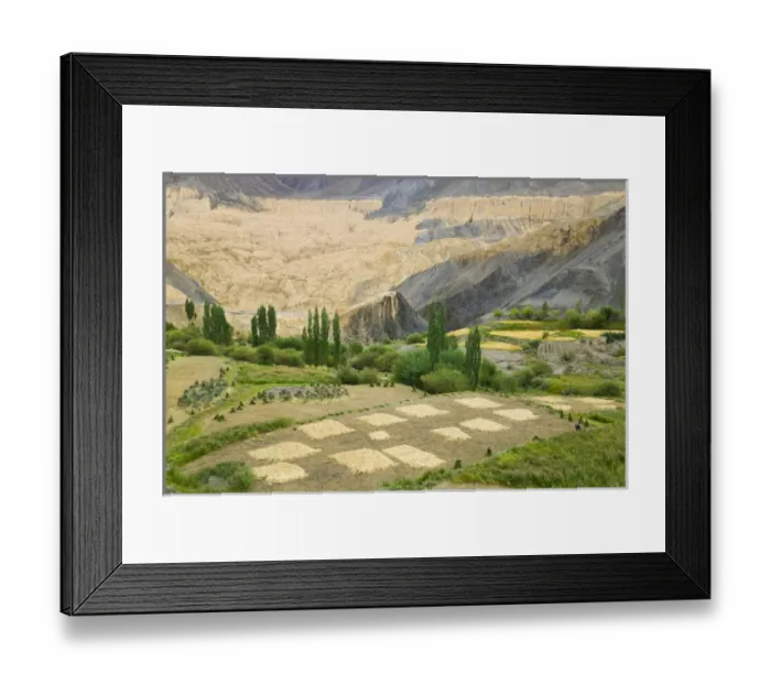 Framed Print : Village and barley field in the Himalayas, Ladakh, India