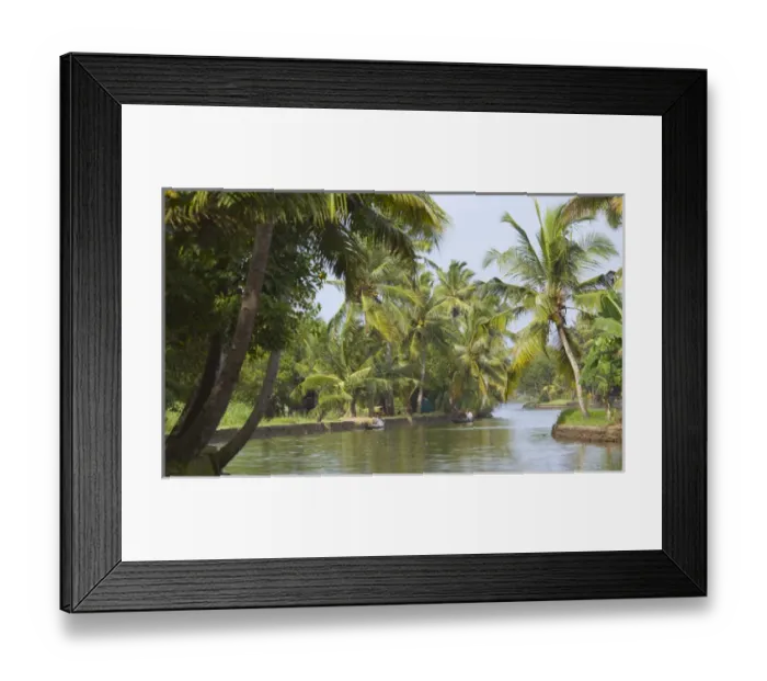 Framed Print : Backwaters of Kerala, India