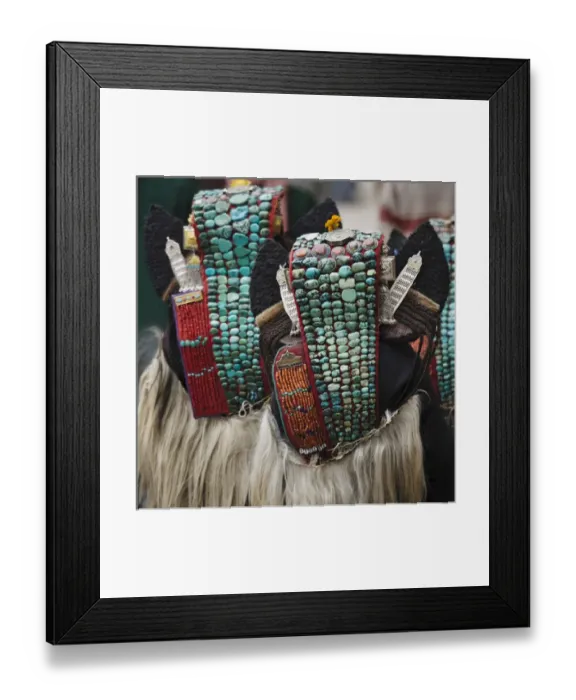 Framed Print : Ladakh woman in traditional costume, Ladakh, India