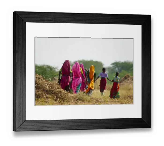 Framed Print : Girls wearing colorful sari, Pushkar, Rajasthan, India Framed Print : Girls wearing colorful sari, Pushkar, Rajasthan, India