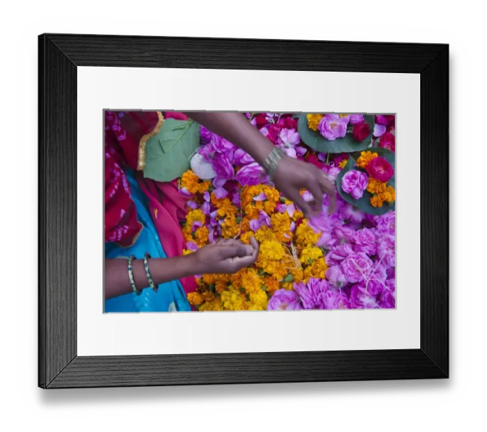 Framed Print : Woman selling flower, Pushkar, Rajasthan, India Framed Print : Woman selling flower, Pushkar, Rajasthan, India