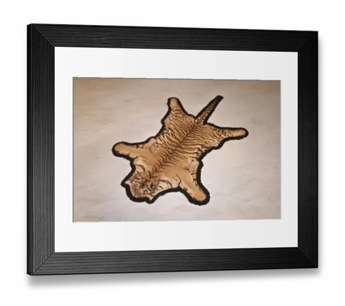 Framed Print : Tiger skin decorated in Prithvi Vilas Palace, Jhalawar, Rajasthan, India