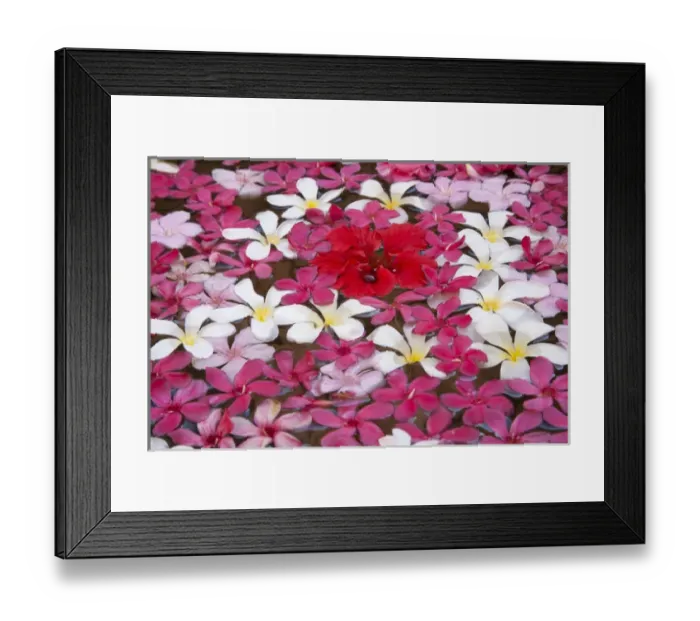 Framed Print : Flower decoration, Udaipur, Rajasthan, India Framed Print : Flower decoration, Udaipur, Rajasthan, India