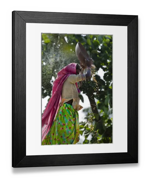 Framed Print : Woman minnowing, Udaipur, Rajasthan, India. (MR) Framed Print : Woman minnowing, Udaipur, Rajasthan, India. (MR)