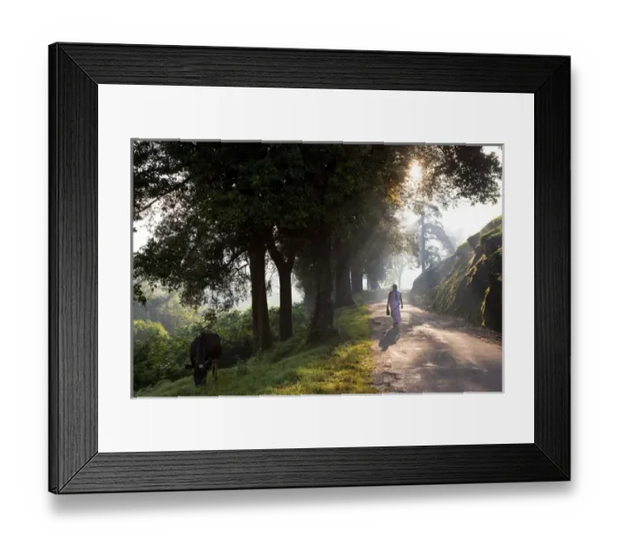 Framed Print : Road, Munnar, Western Ghats, Kerala, South India Framed Print : Road, Munnar, Western Ghats, Kerala, South India