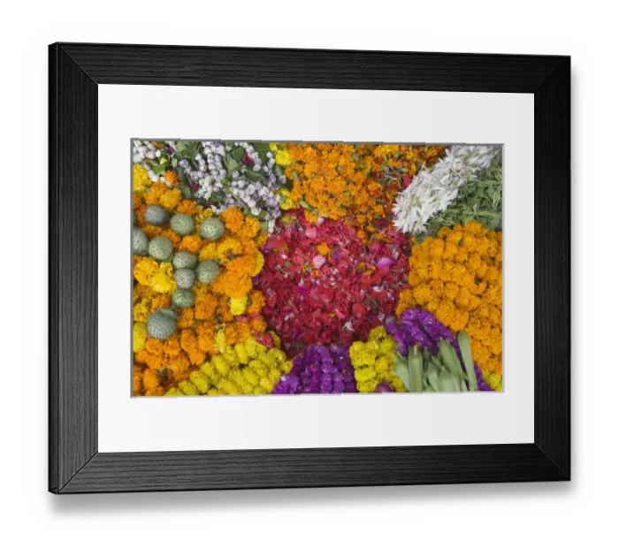 Framed Print : Selling flowers for Diwali, Festival of Lights, Varanasi, India Framed Print : Selling flowers for Diwali, Festival of Lights, Varanasi, India