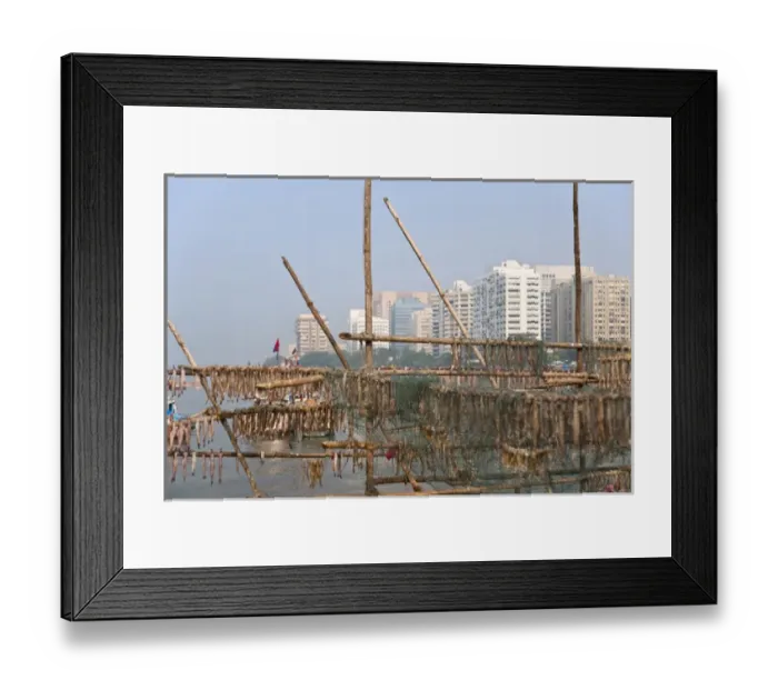 Framed Print : Drying fish on the waterfront, modern highrises in the distance, Mumbai, India Framed Print : Drying fish on the waterfront, modern highrises in the distance, Mumbai, India