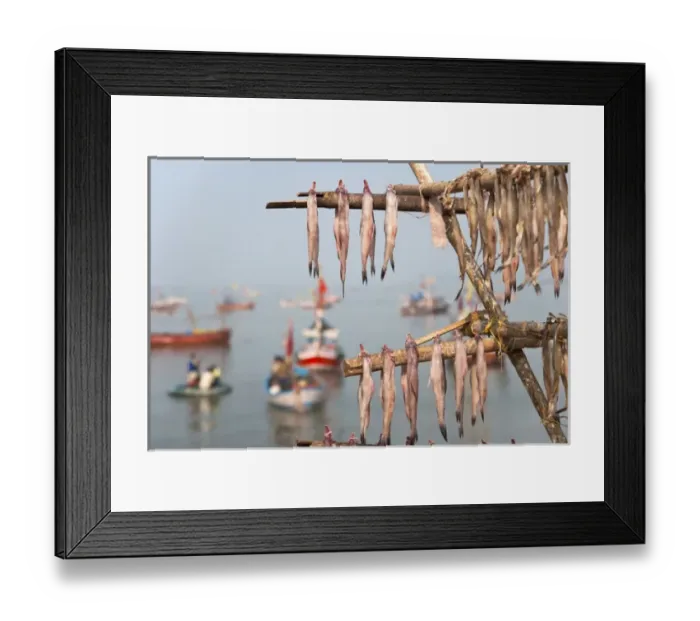 Framed Print : Drying fish on the waterfront, Mumbai, India Framed Print : Drying fish on the waterfront, Mumbai, India