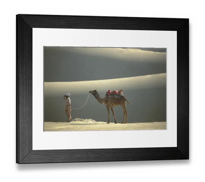 Framed Print : Thar Desert, Rajasthan, India Framed Print : Thar Desert, Rajasthan, India