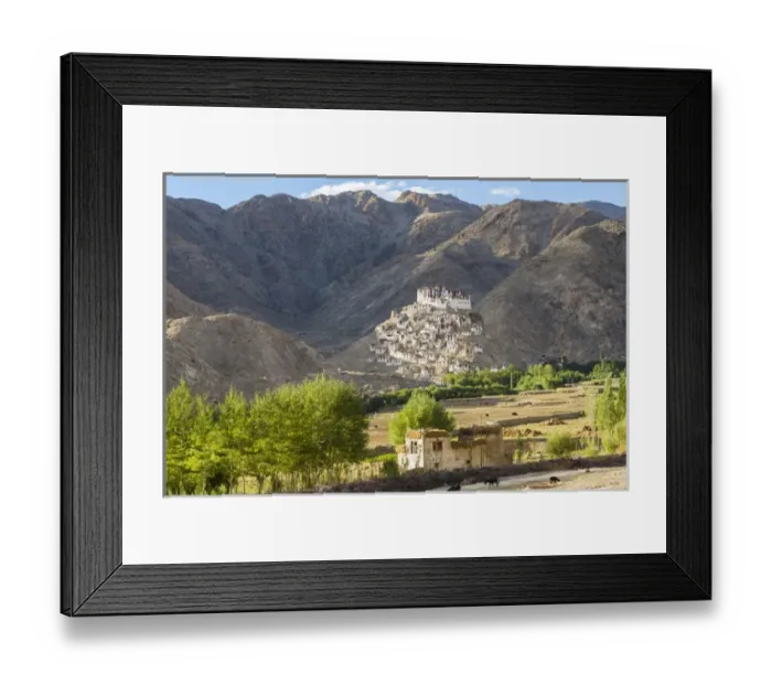Framed Print : Chemre or Chemrey Village & monastery, nr Leh, Ladakh, India Framed Print : Chemre or Chemrey Village & monastery, nr Leh, Ladakh, India