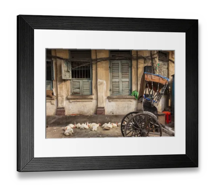 Framed Print : Chickens & rickshaw on street, central Kolkata, or Calcutta, West Bengal, India