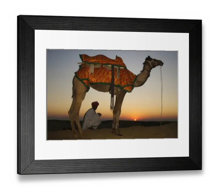 Framed Print : Man sitting with his camel at sunset on the sand dunes in Jalsamer, India, ragasthan Framed Print : Man sitting with his camel at sunset on the sand dunes in Jalsamer, India, ragasthan