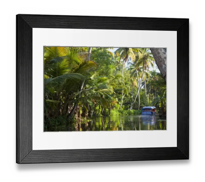 Framed Print : Backwaters, Alappuzha or Alleppey, Kerala, India Framed Print : Backwaters, Alappuzha or Alleppey, Kerala, India