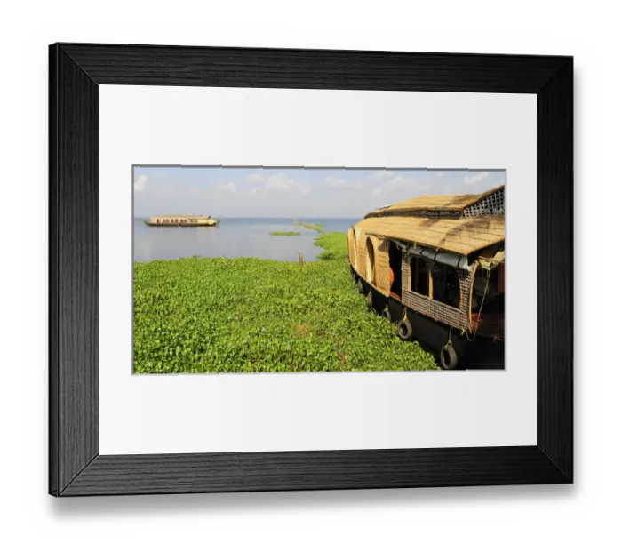 Framed Print : Asia, India, Kerala (Backwaters). Kerala houseboats on Kumarakom Lake