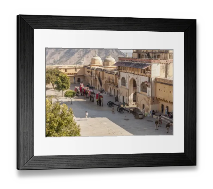 Framed Print : Elephants. Amber Fort. Jaipur. Rajasthan. India Framed Print : Elephants. Amber Fort. Jaipur. Rajasthan. India